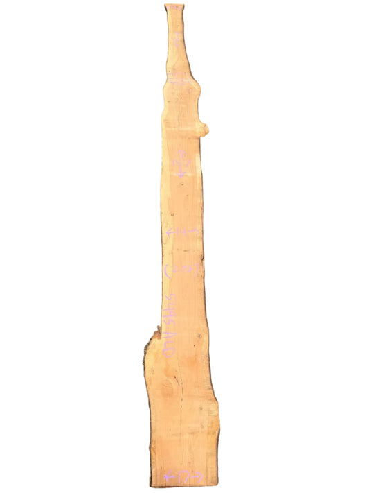 Monterey Cypress Live Edge Slab 5495.ALD