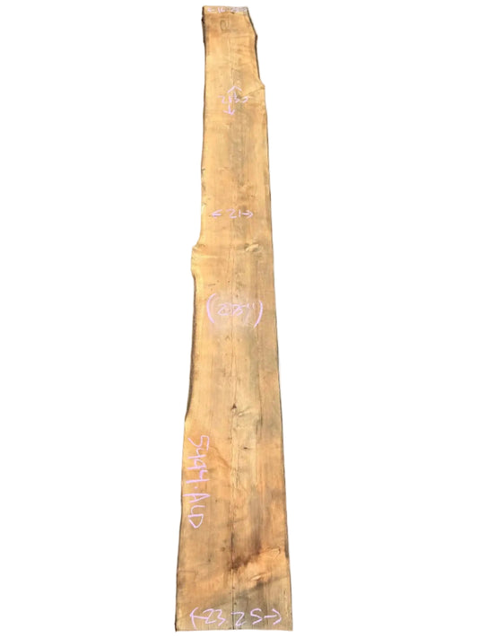 Monterey Cypress Live Edge Slab 5494.ALD
