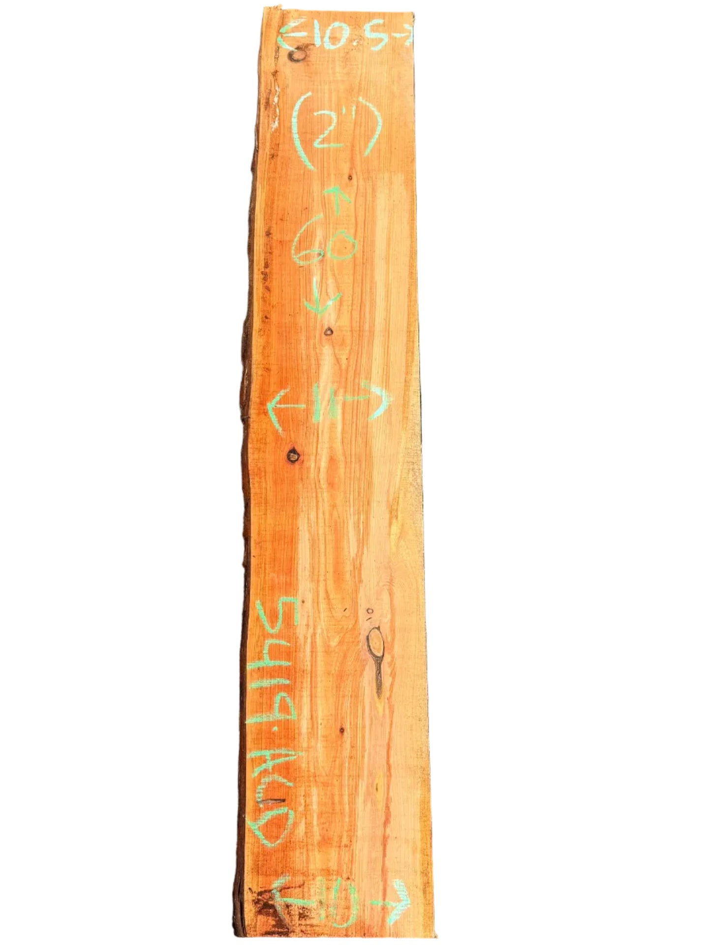 Monterey Cypress Live Edge Slab 5419.KLD