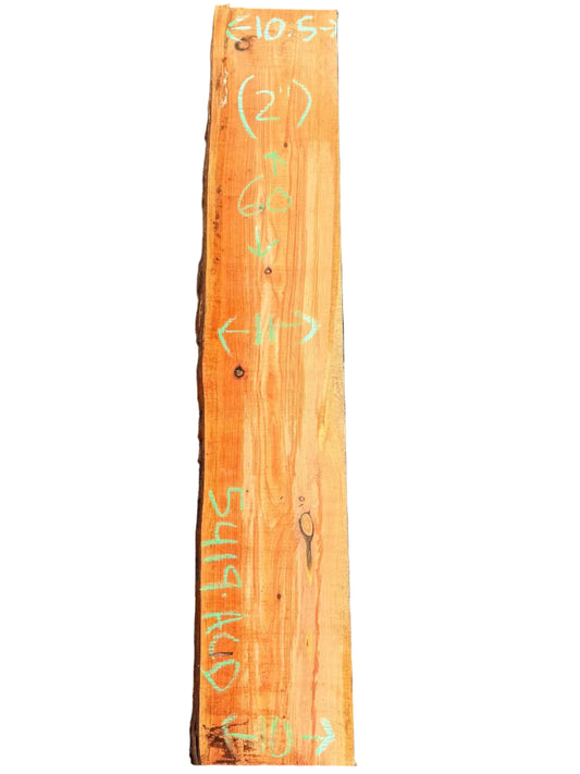 Monterey Cypress Live Edge Slab 5419.KLD