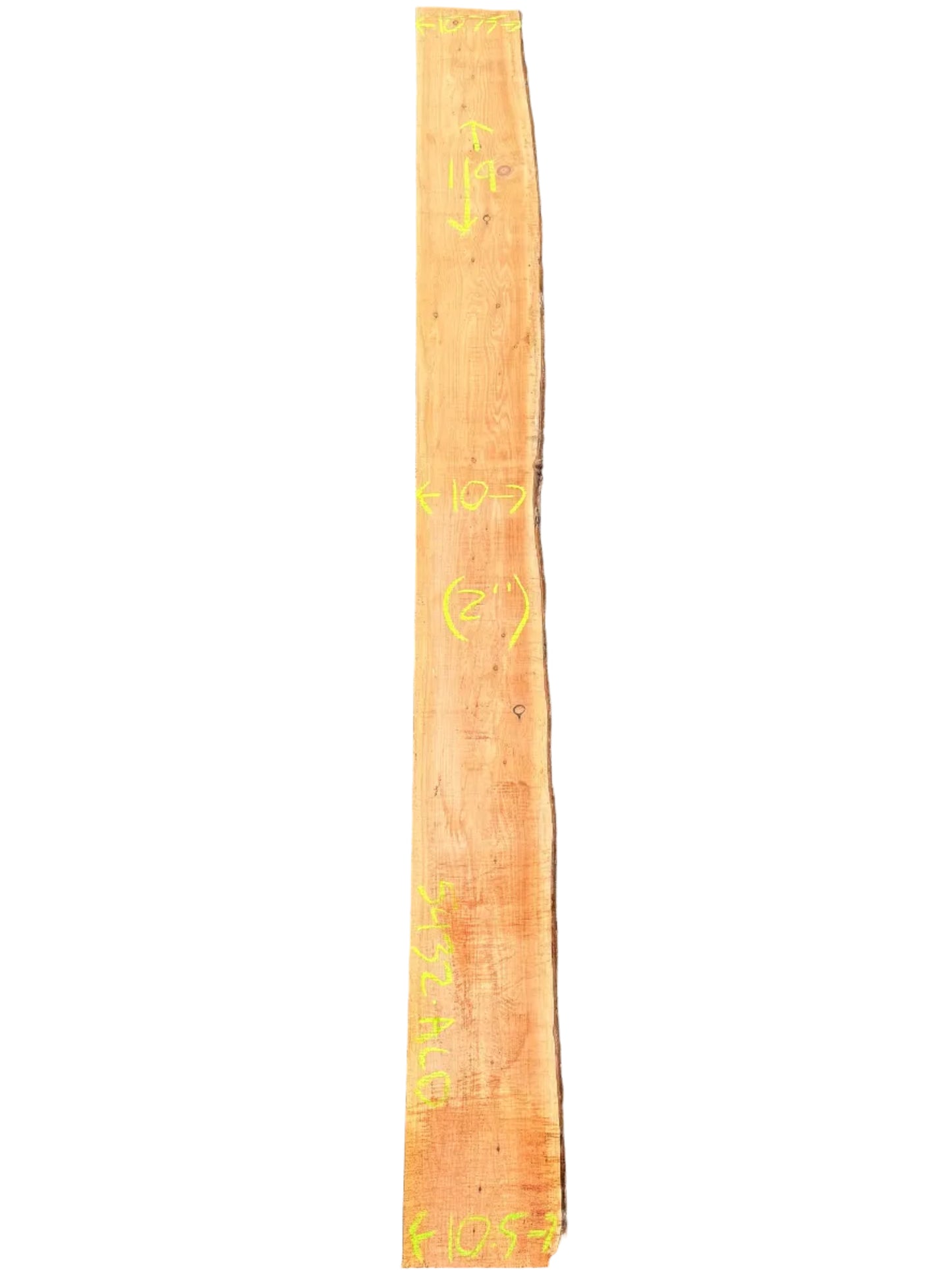 Monterey Cypress Live Edge Slab 5432.ALD