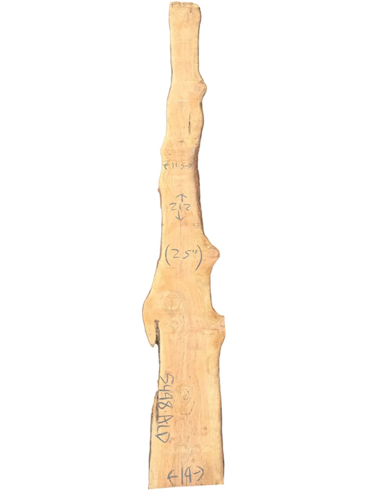 Monterey Cypress Live Edge Slab 5498.ALD