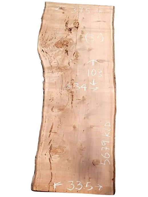 Monterey Cypress Live Edge Slab 5679.ALD