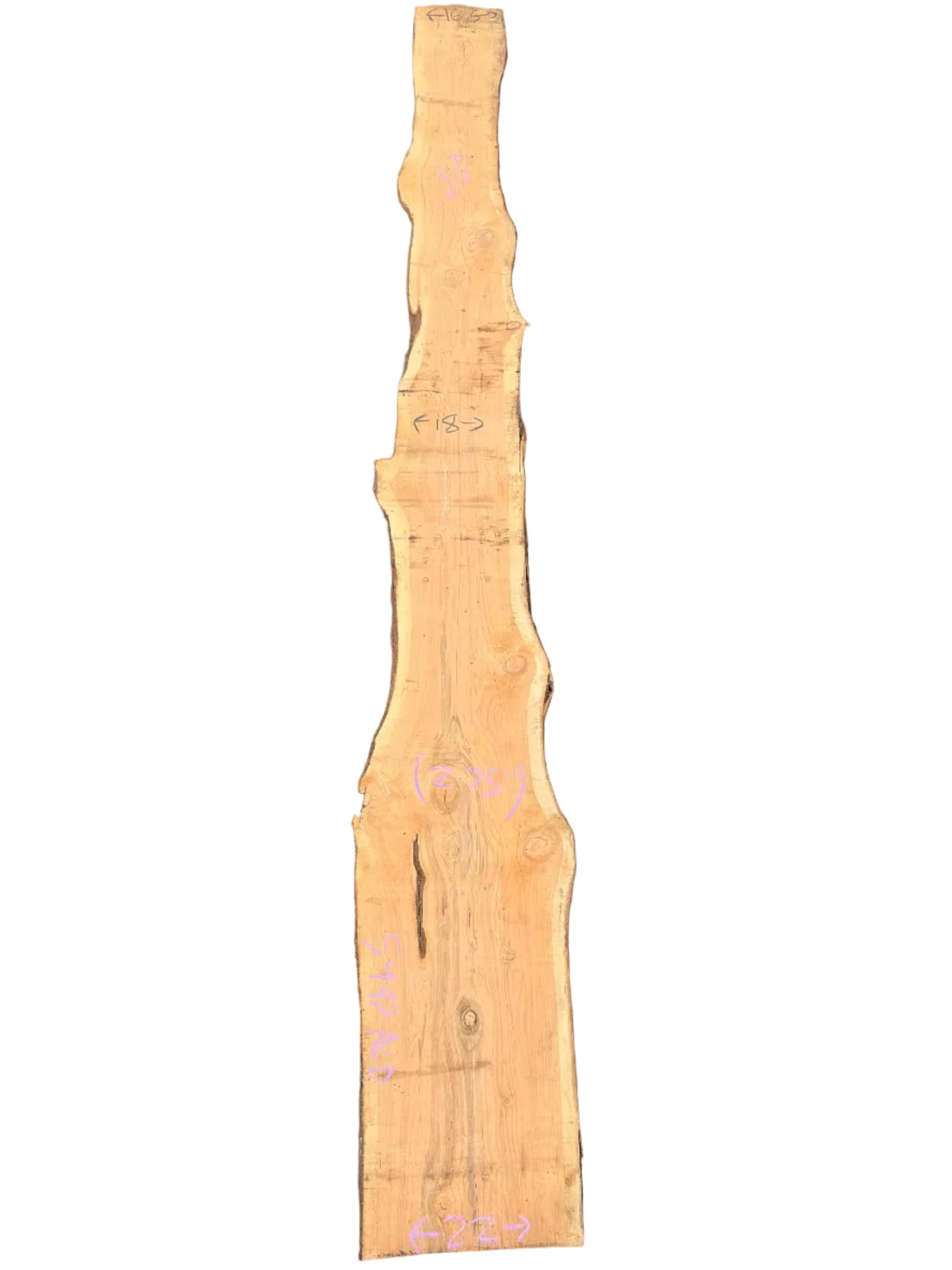Monterey Cypress Live Edge Slab 5497.ALD