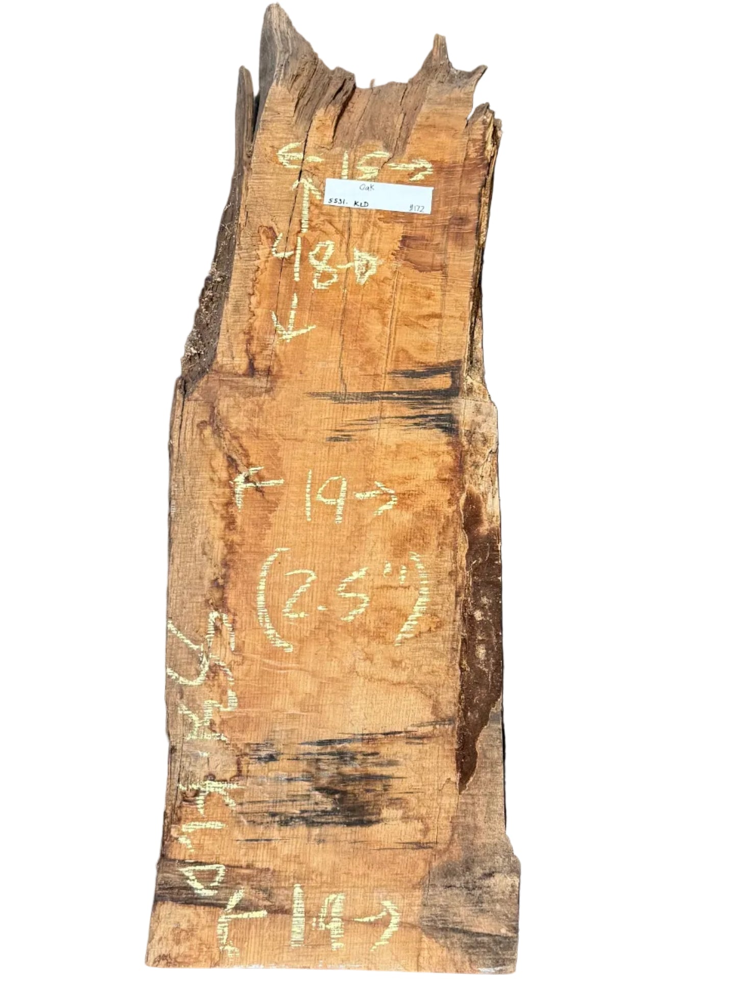 Oak Live Edge Slab 5531.KLD