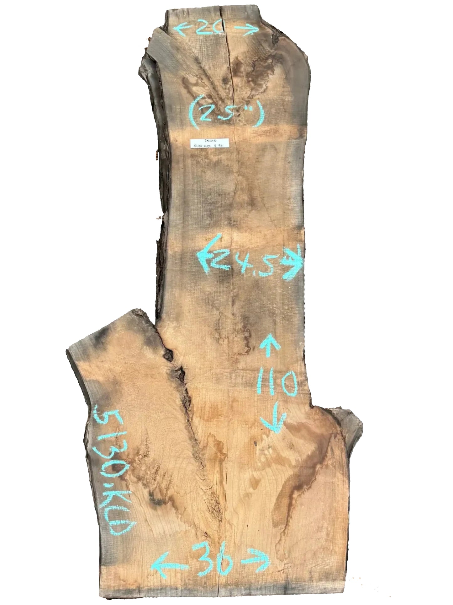 Pecan Live Edge Slab 5130.KLD