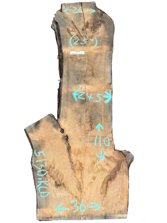 Pecan Live Edge Slab 5130.KLD