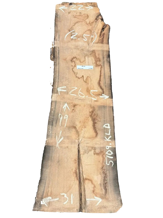 Pecan Live Edge Slab 5109.KLD