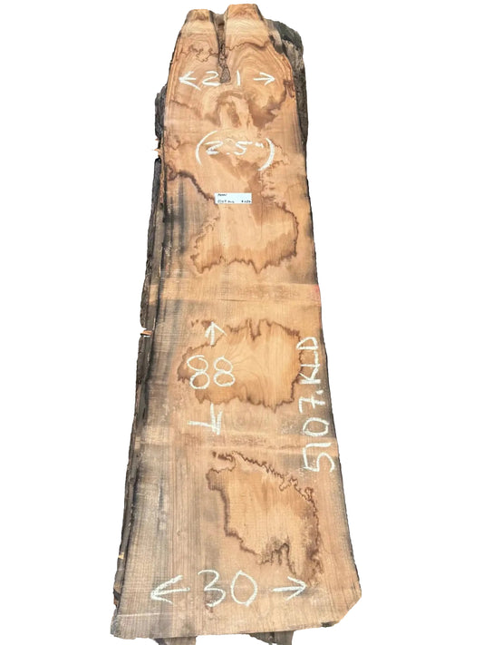 Pecan Live Edge Slab 5107.KLD