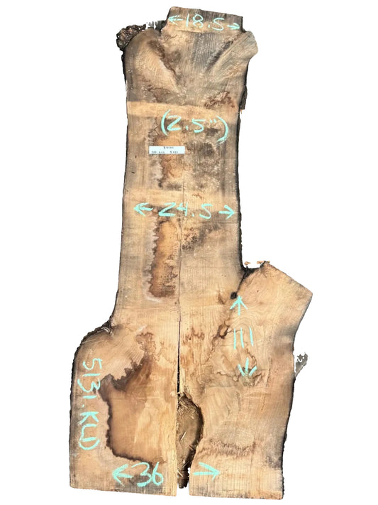 Pecan Live Edge Slab 5131.ALD