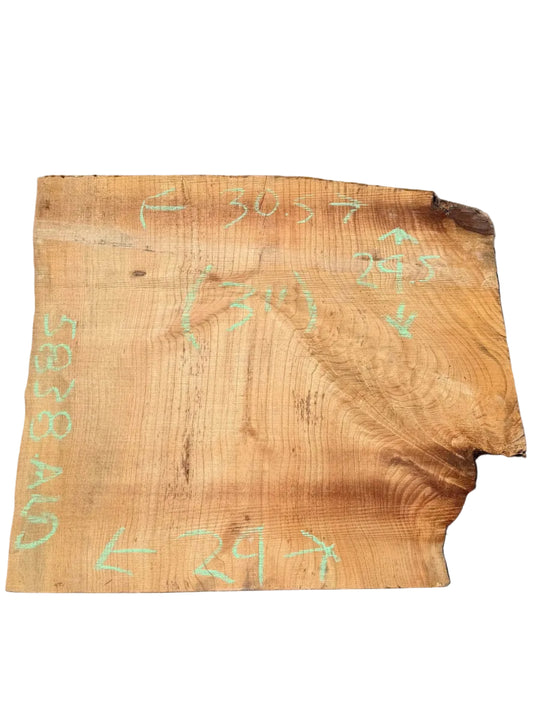 Pine Live Edge Wood Slab 5838.ALD