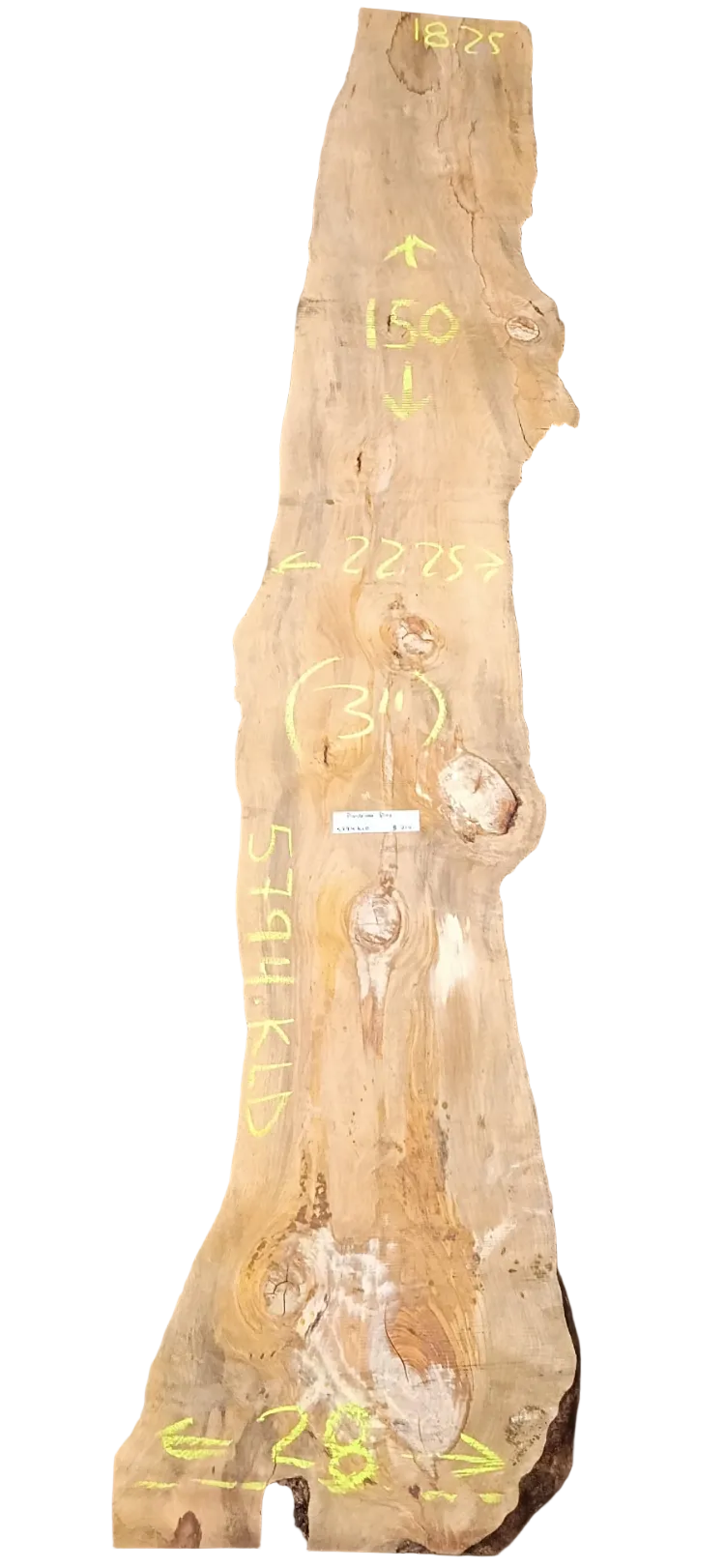 Ponderosa Pine Live Edge Slab 5794.KLD