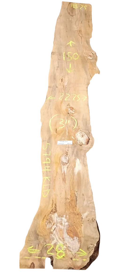 Ponderosa Pine Live Edge Slab 5794.KLD
