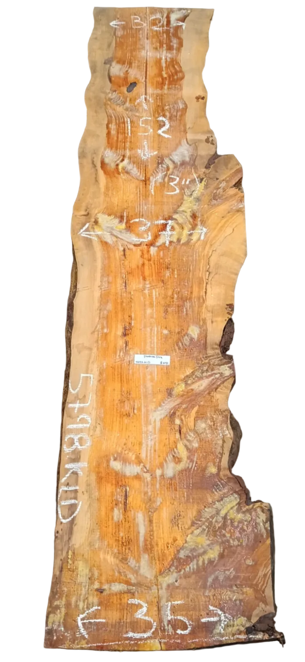 Ponderosa Pine Live Edge Slab 5798.KLD