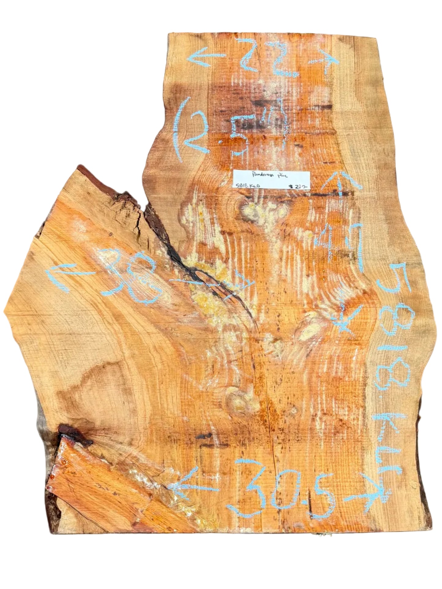Ponderosa Pine Live Edge Slab 5818.KLD