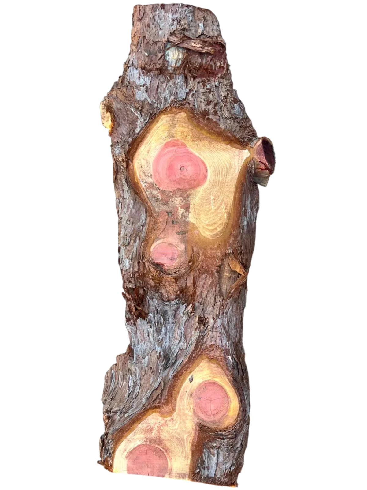 Redwood Live Edge Slab 5947.ALD