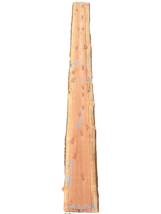 Redwood Live Edge Slab 5734.ALD
