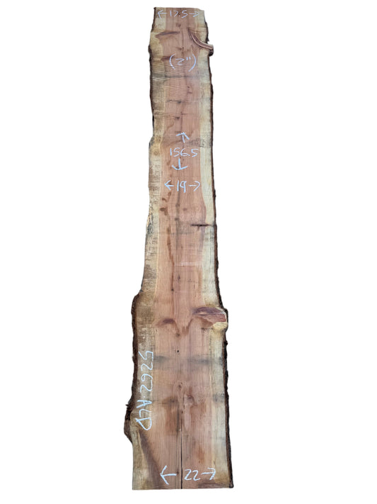 Redwood Live Edge Slab 5262.ALD