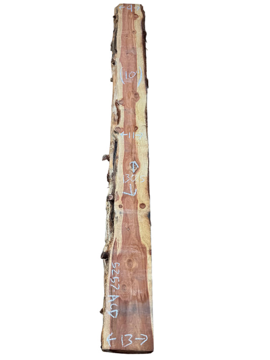 Redwood Live Edge Slab 5257.ALD
