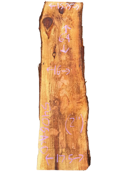 Redwood Live Edge Slab 5406.ALD
