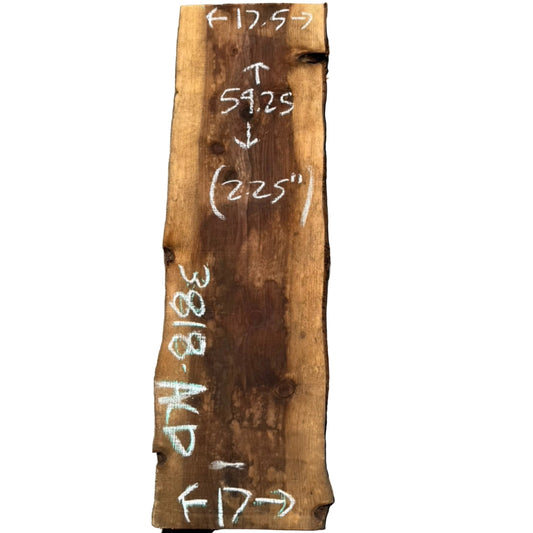 Giant Sequoia Live Edge Slab 3818.KLD