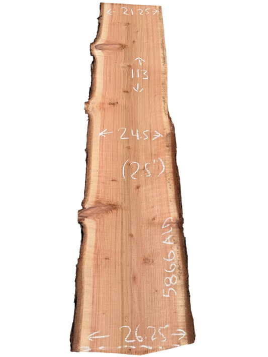 Redwood Live Edge Slab 5866.ALD