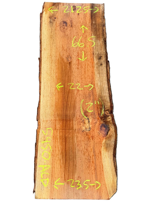 Redwood Live Edge Slab 5450.ALD