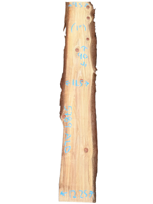 Redwood Live Edge Slab 5789.ALD