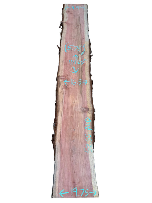 Redwood Live Edge Slab 5255.ALD