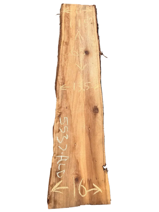 Redwood Live Edge Slab 5537.ALD