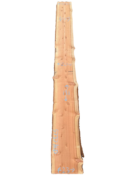 Redwood Live Edge Slab 5737.ALD