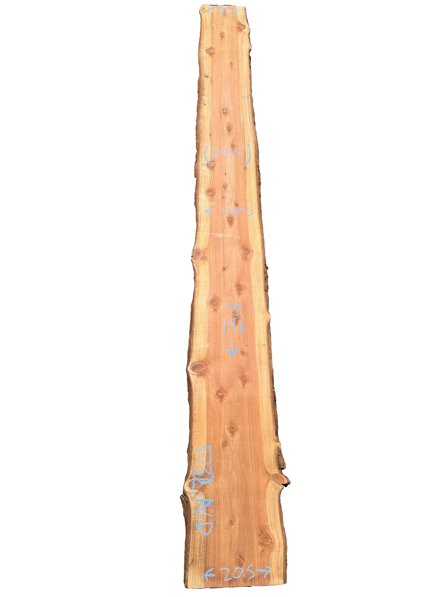 Redwood Live Edge Slab 5732.ALD