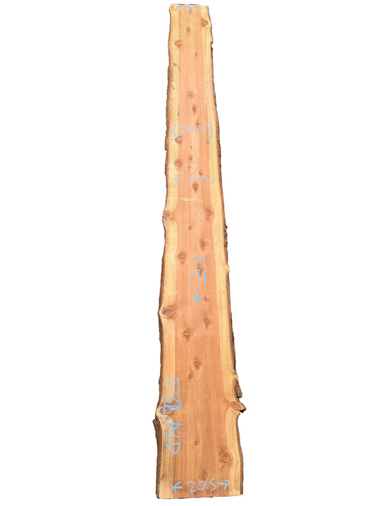 Redwood Live Edge Slab 5732.ALD