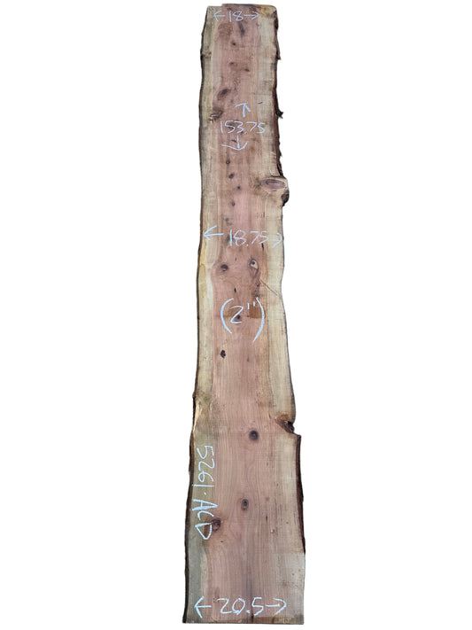 Redwood Live Edge Wood Slab 5261.ALD