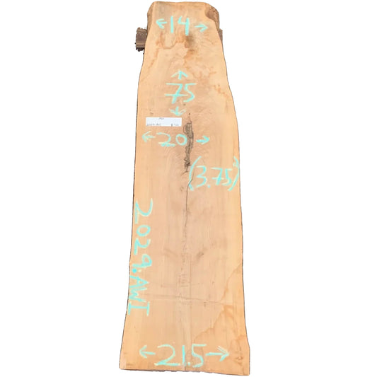 Ash Live Edge Slab 2029.AWI