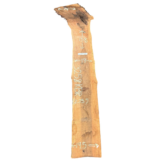 Bastogne Walnut Live Edge Slab 3258.KBR