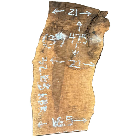 Bastogne Walnut Live Edge Slab 3263.KBR