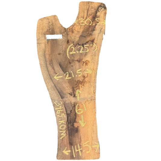 Bay Laurel Live Edge Slab 3465.KOM