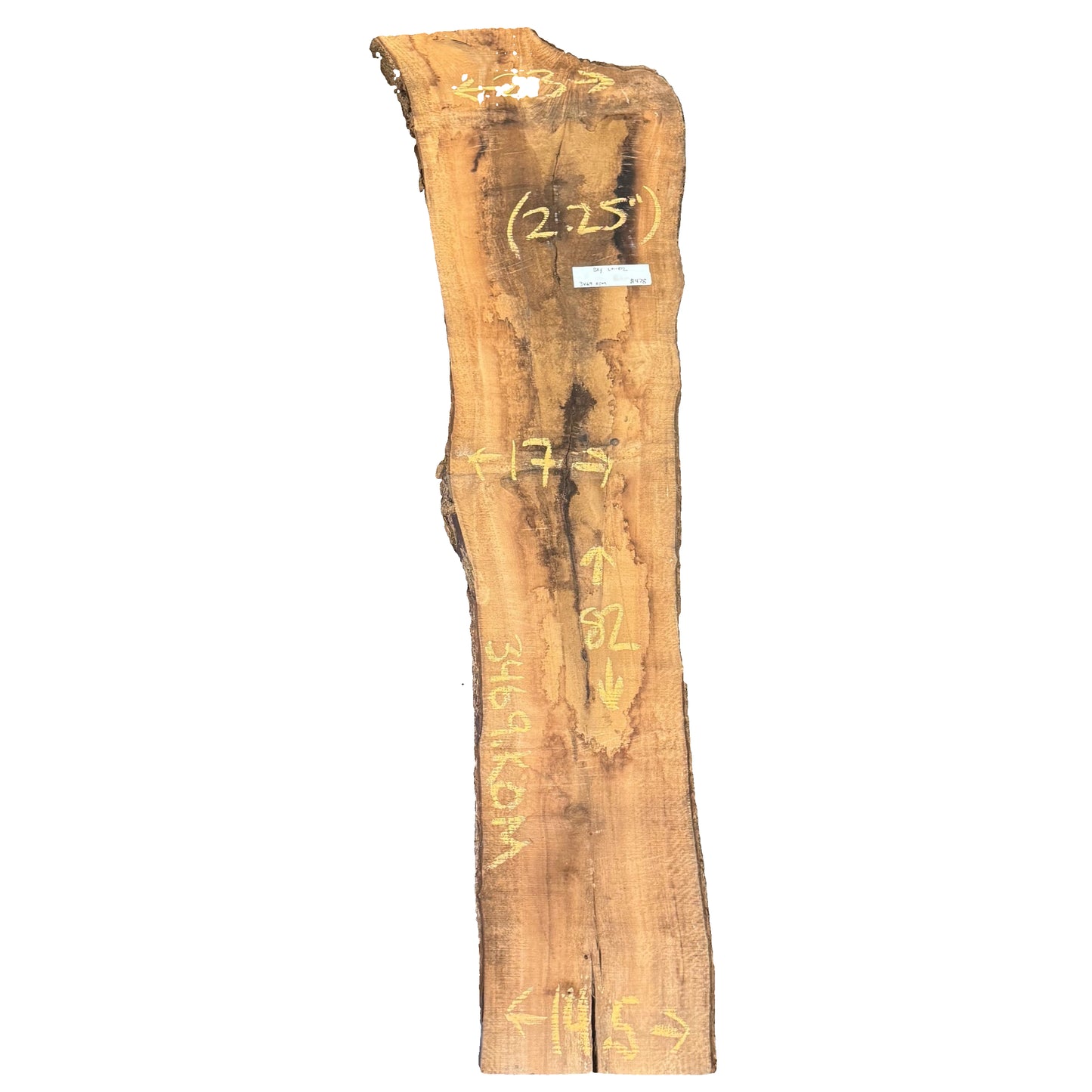 Bay Laurel Live Edge Slab 3469.KOM