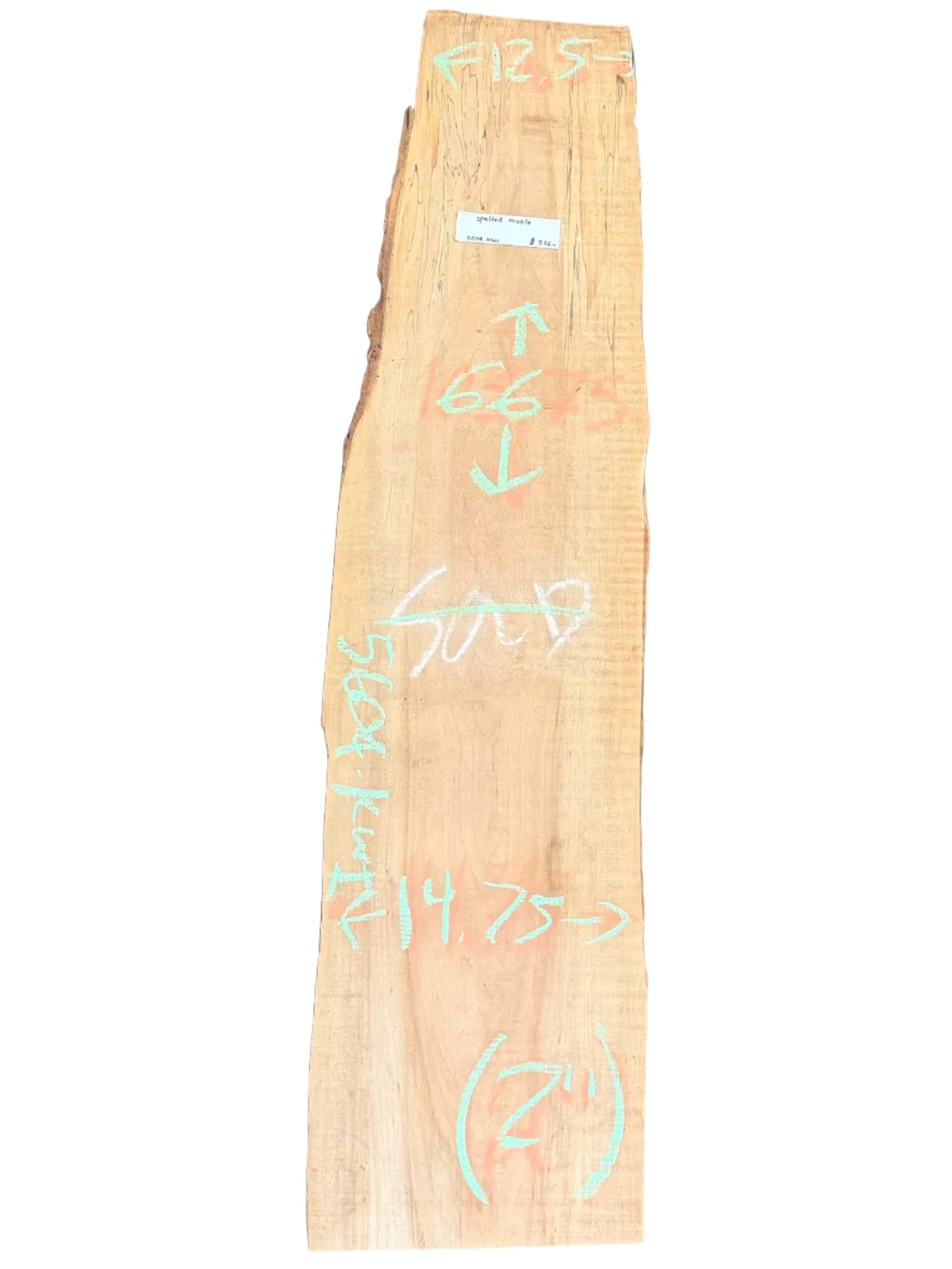 Spalted Maple Live Edge Slab 5604.KWI