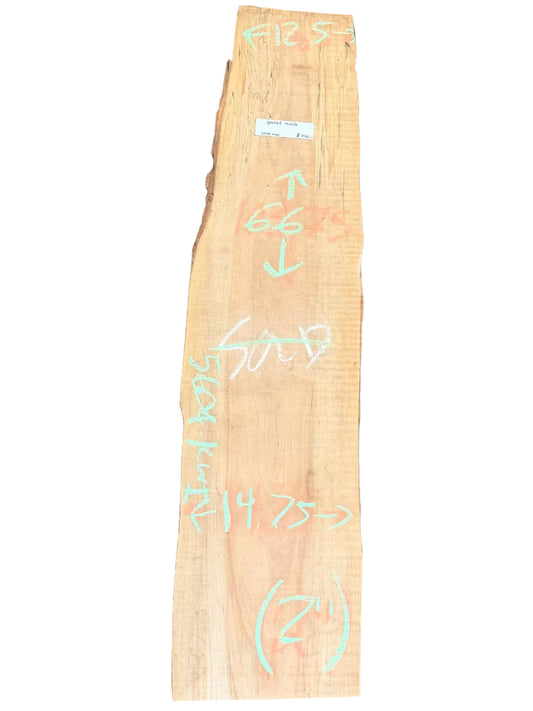 Spalted Maple Live Edge Slab 5604.KWI
