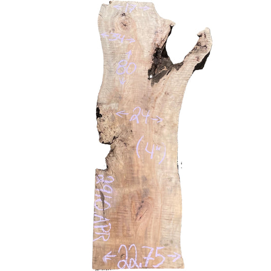 Sycamore Live Edge Slab 2910.APR