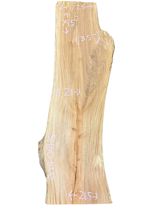 Sycamore Live Edge Slab S2S 5460.KLD