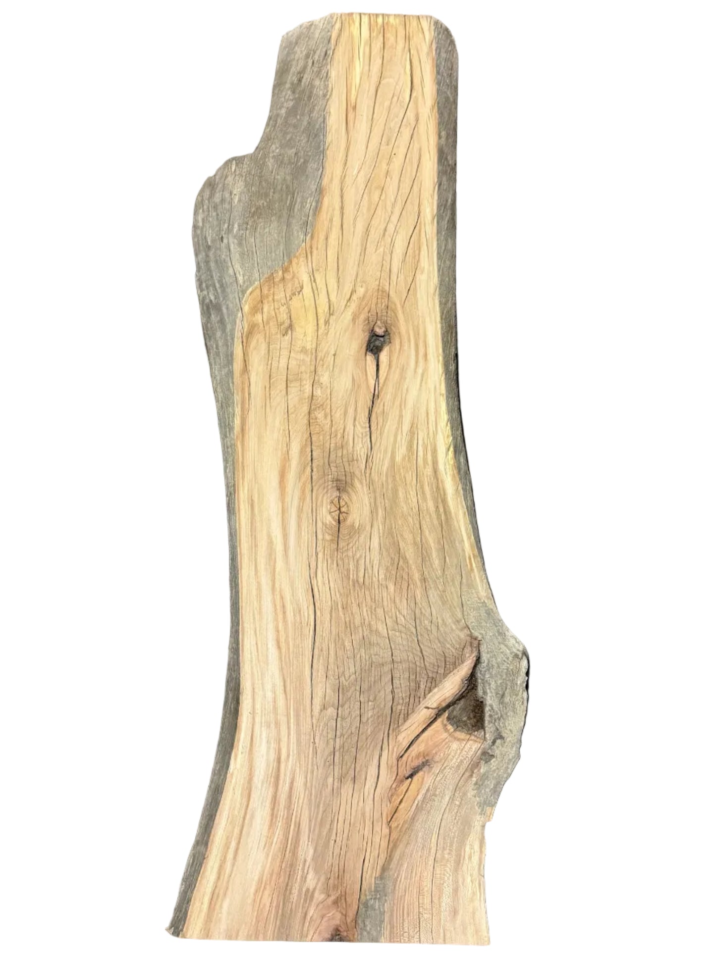 Sycamore Live Edge Slab S2S 5460.KLD