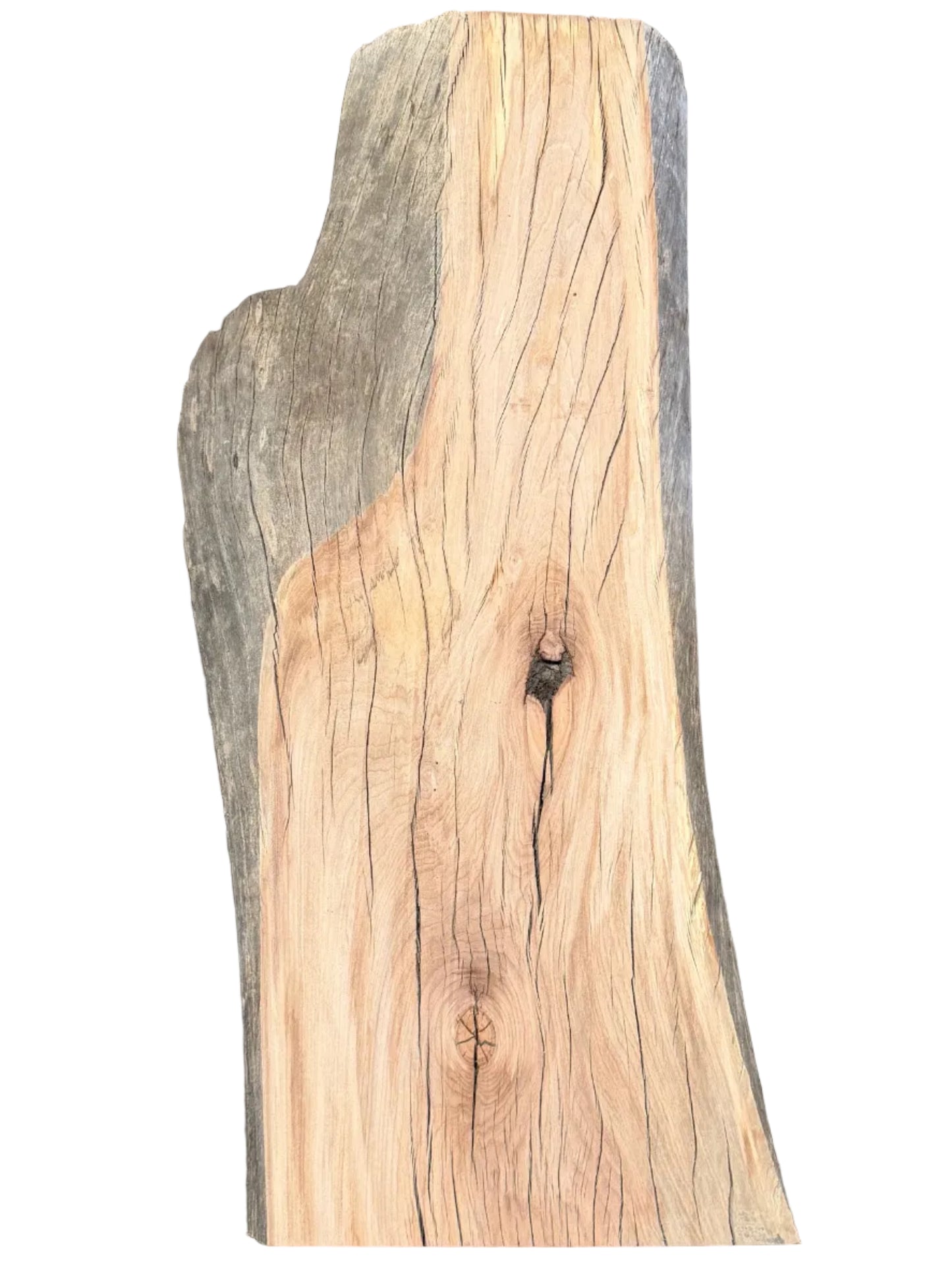 Sycamore Live Edge Slab S2S 5582.KLD