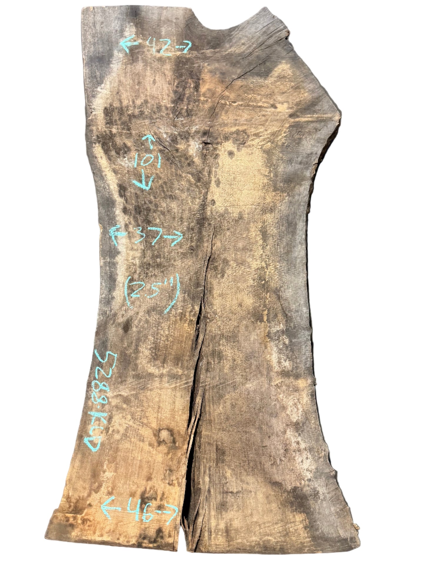 Sycamore Live Edge Slab 5288.KLD