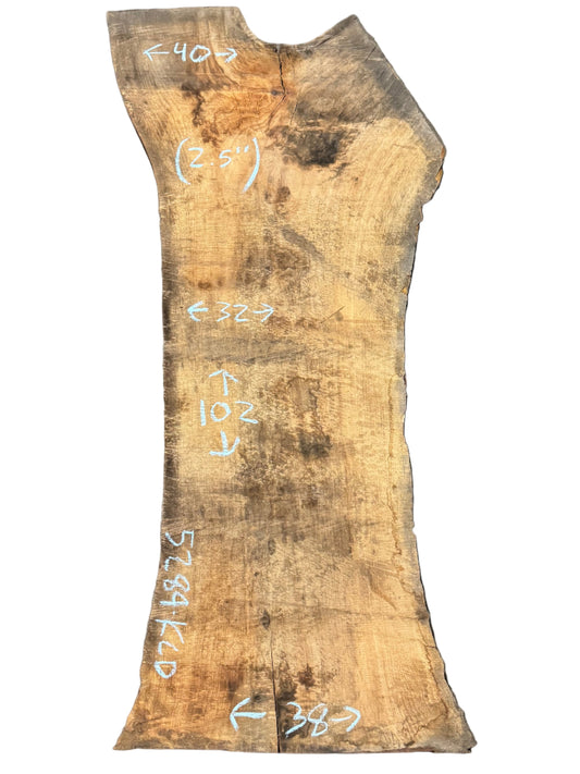 Sycamore Live Edge Slab 5289.KLD