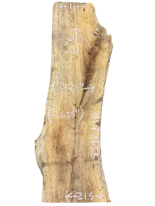 sycamore live edge wood slab