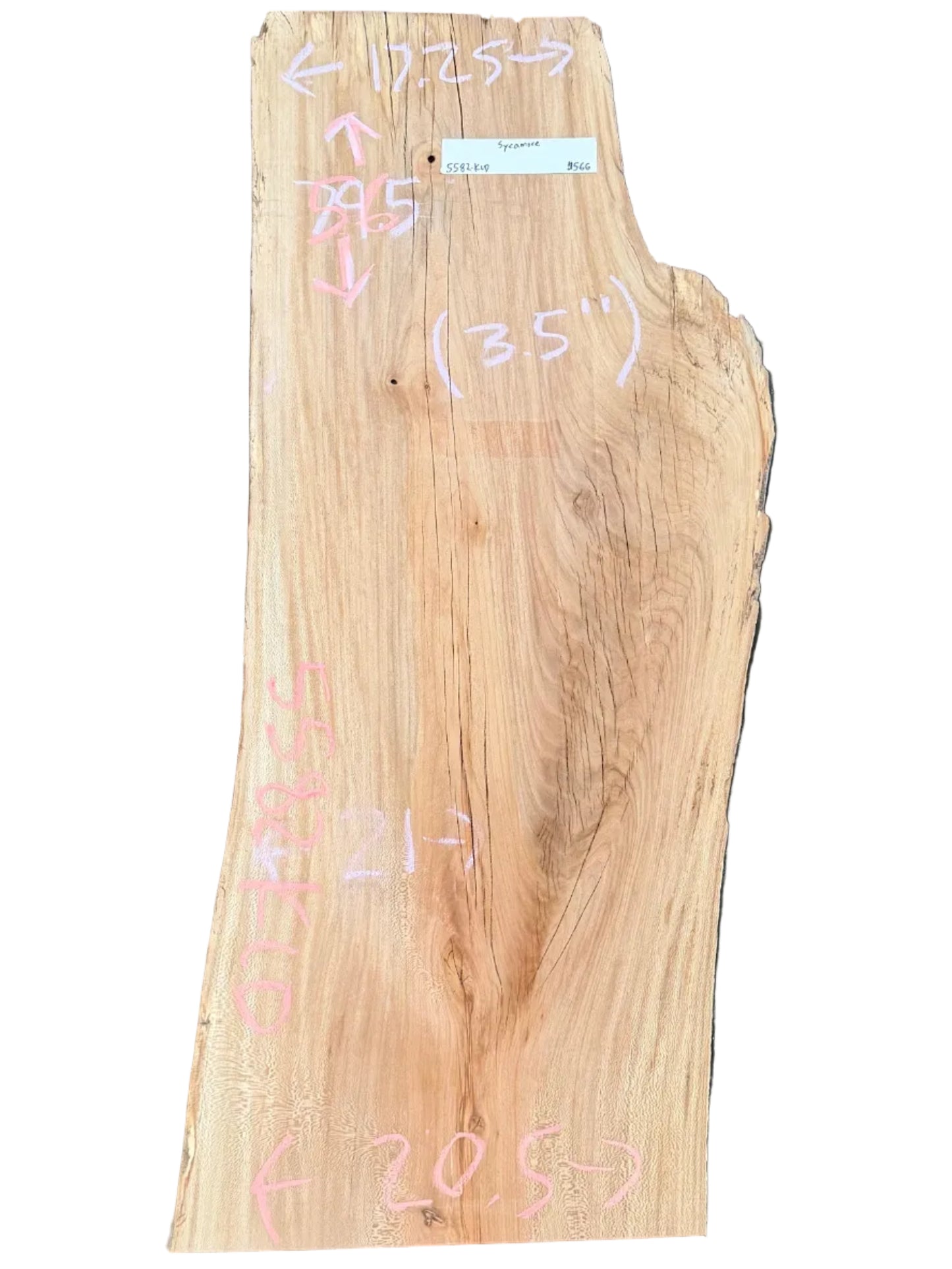 Sycamore Live Edge Slab S2S 5582.KLD