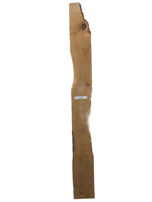 White Oak Live Edge Slab 197.KWI